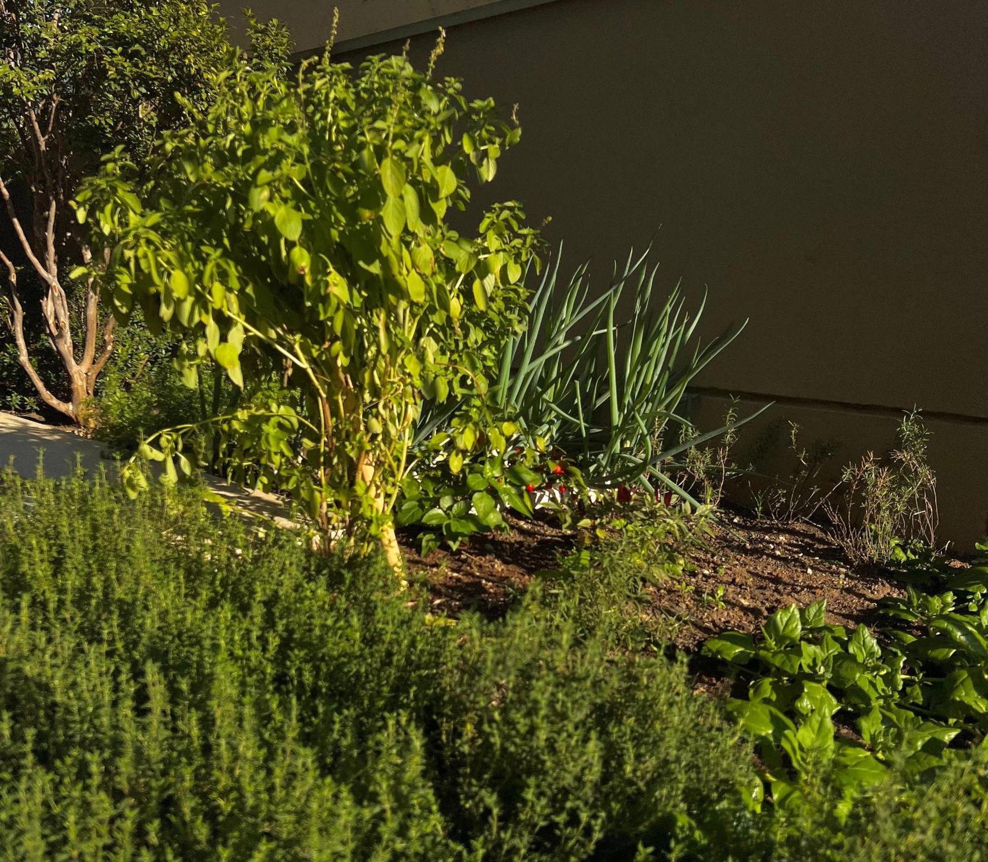 1402 Vnma Studio - Jardins - Proximo Oscar Freire Lejlighed São Paulo Eksteriør billede